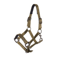 Licol Imperial Riding Rebel Ballerina Violet