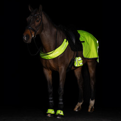 Chauffe-orteils pour étriers Imperial Riding Reflective par 2 Jaune Chauffe-orteils pour étriers Imperial Riding Reflective par 2 Jaune