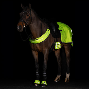 Chauffe-orteils pour étriers Imperial Riding Reflective par 2 Jaune Chauffe-orteils pour étriers Imperial Riding Reflective par 2 Jaune
