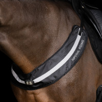 Collier de chasse Imperial Riding Luminous Noir Collier de chasse Imperial Riding Luminous Noir