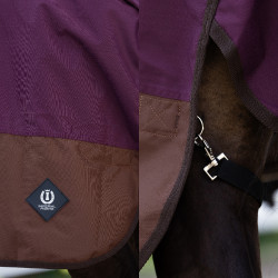 Couverture d'extérieur Imperial Riding Customized High Neck 300g 600D Bordeaux / marron clair