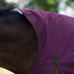 Couverture d'extérieur Imperial Riding Customized High Neck 300g 600D Bordeaux / marron clair