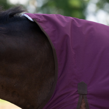 Couverture d'extérieur Imperial Riding Customized High Neck 300g 600D Bordeaux / marron clair