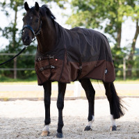 Couverture d'extérieur Imperial Riding Customized High Neck 300g 600D Marron foncé / marron clair