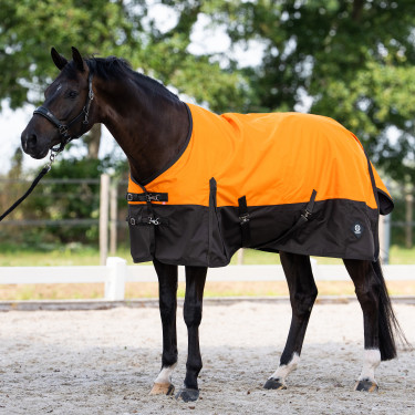 Couverture d'extérieur Imperial Riding Customized sans encolure Orange / marron foncé