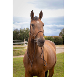 Licol Ethologique avec Renes Marron Licol Ethologique avec Renes Marron