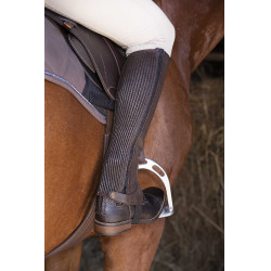 Mini-chaps Equithème cuir Marron Mini-chaps Equithème cuir Marron
