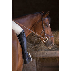 Mini-chaps Equithème Premium Noir
