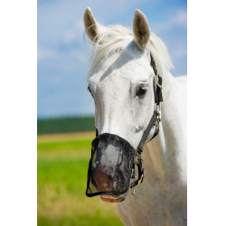 Protège naseaux maille anti-mouches Protège naseaux maille anti-mouches