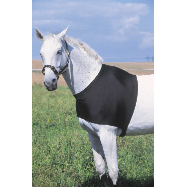 Protection d'épaules Equithème Protection d'épaules Equithème