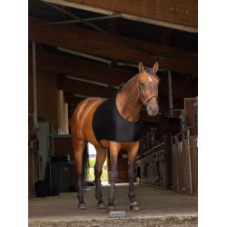 Protection d'épaules Equithème Protection d'épaules Equithème