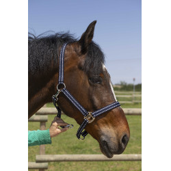 Licol Norton Grooming Bleu marine