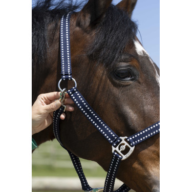 Licol Norton Grooming Bleu marine Licol Norton Grooming Bleu marine
