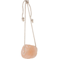 Pierre à sel Hippotonic de l'Himalaya