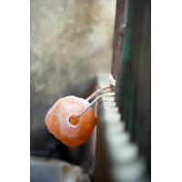 Pierre à sel Hippotonic de l'Himalaya