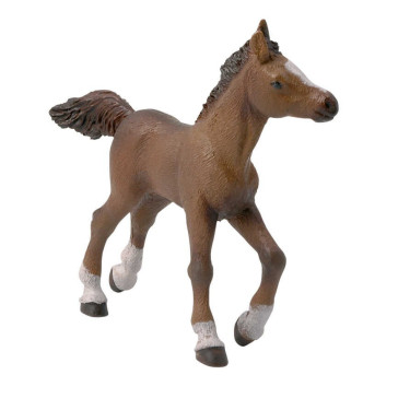 Figurine Poulain Anglo-Arabe Papo Figurine Poulain Anglo-Arabe Papo