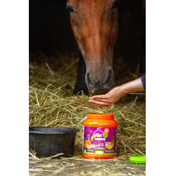 Friandises naturelles Equinatura