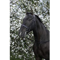 Bride Riding World Noir Bride Riding World Noir