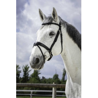 Bridon Norton Pro Soft Noir Bridon Norton Pro Soft Noir