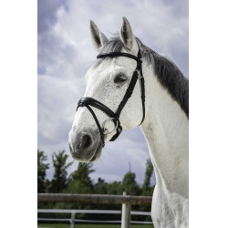 Bridon Norton Pro Soft Noir Bridon Norton Pro Soft Noir