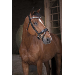 Bridon Norton Pro Strass Noir