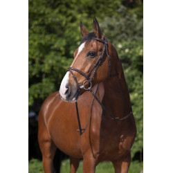 Bridon Riding World Muserolle combinée Havane Marron