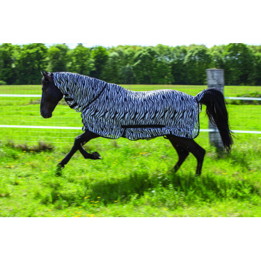 Chemise filet Riding World Combo Motif zèbre noir / blanc Multi-couleurs Chemise filet Riding World Combo Motif zèbre noir / blanc Multi-couleurs