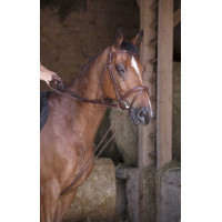 Rênes allemande cuir / corde Norton Pro Havane Marron Rênes allemande cuir / corde Norton Pro Havane Marron