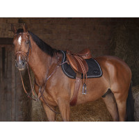 Sangle combinée Eric Thomas Hybrid Havane Marron Sangle combinée Eric Thomas Hybrid Havane Marron