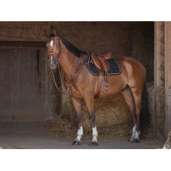 Sangle combinée Eric Thomas Hybrid Havane Marron Sangle combinée Eric Thomas Hybrid Havane Marron