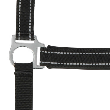 Licol Norton Reflective Licol Norton Reflective
