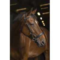 Side-pull Norton Pro Confort Noir Side-pull Norton Pro Confort Noir