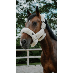 Licol Je t'aime Equithème Snuggy Écru Blanc Licol Je t'aime Equithème Snuggy Écru Blanc