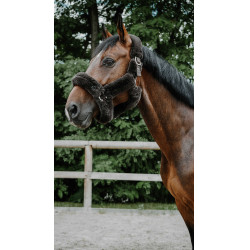 Licol Je t'aime Equithème Snuggy Marron