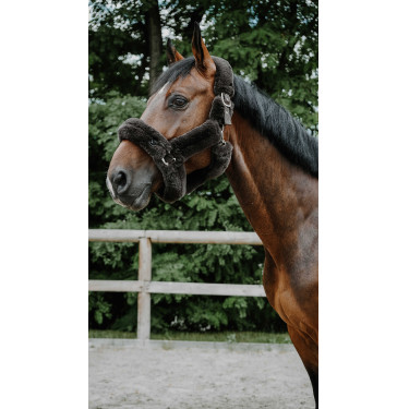 Licol Je t'aime Equithème Snuggy Marron