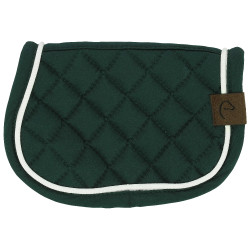 Mini-tapis Pony Academy Vert foncé