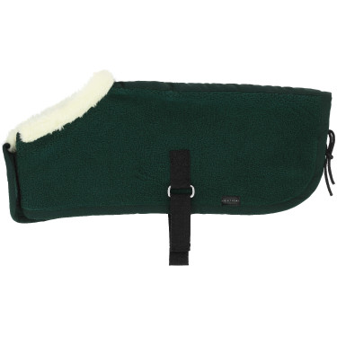 Mini-couvertures Pony Academy Vert foncé