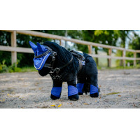 Mini-guêtres et protège-boulets Pony Academy Bleu roi