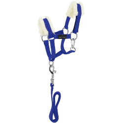 Mini-licol+longe Pony Academy Bleu roi