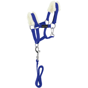 Mini-licol+longe Pony Academy Bleu roi