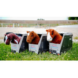 Mini-poney Poly Pony Academy Bicolores Mini-poney Poly Pony Academy Bicolores