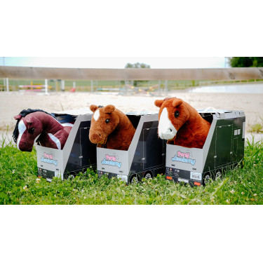 Mini-poney Poly Pony Academy Mini-poney Poly Pony Academy