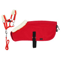 Set Mini licol+couverture Pony Academy Rouge Set Mini licol+couverture Pony Academy Rouge