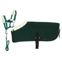 Set Mini licol+couverture Pony Academy Vert foncé
