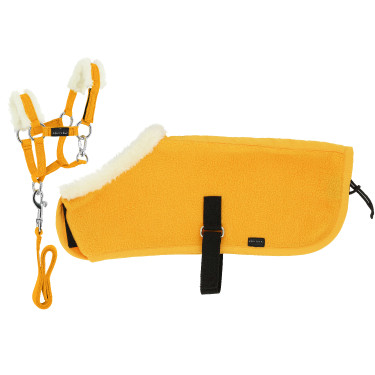 Set Mini licol+couverture Pony Academy Jaune Set Mini licol+couverture Pony Academy Jaune