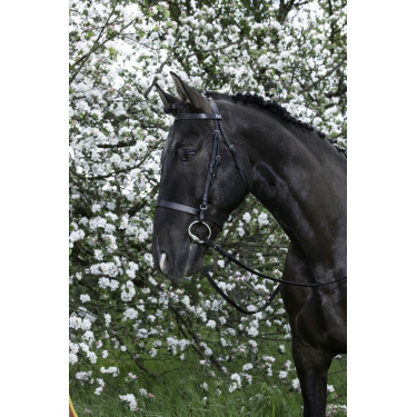 Bridon Riding World Muserolle française Bridon Riding World Muserolle française