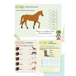 Mon Cahier d'Activités Lavauzelle Niveau CP