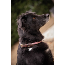 Collier pour chien Penelope Billie Rose / lurex Collier pour chien Penelope Billie Rose / lurex