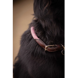 Collier pour chien Penelope Billie Rose / lurex Collier pour chien Penelope Billie Rose / lurex