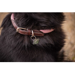 Collier pour chien Penelope Billie Rose / lurex Collier pour chien Penelope Billie Rose / lurex